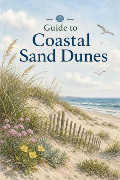 Cover of Guide to Coastal Sand Dunes