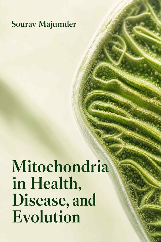 Front cover of Mitochondria in Health, Disease, and Evolution by Sourav Majumder