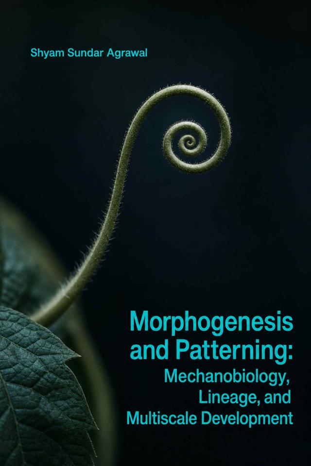 Front cover of Morphogenesis and Patterning: Mechanobiology, Lineage, and Multiscale Development by Shyam Sundar Agrawal