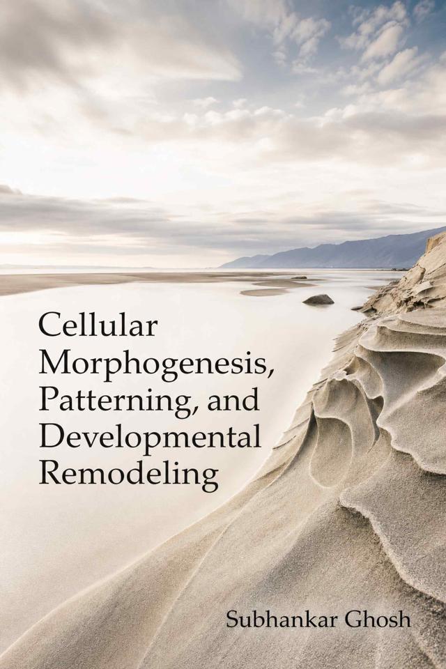 Front cover of Cellular Morphogenesis, Patterning, and Developmental Remodeling by Subhankar Ghosh