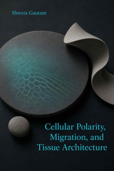 Cover of Cellular Polarity, Migration, and Tissue Architecture