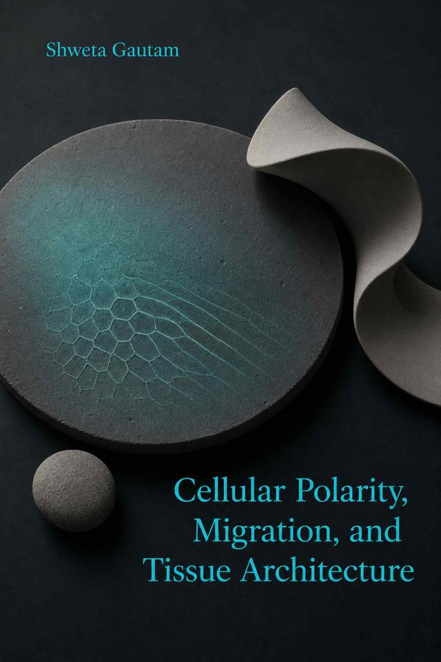 Front cover of Cellular Polarity, Migration, and Tissue Architecture by Shweta Gautam