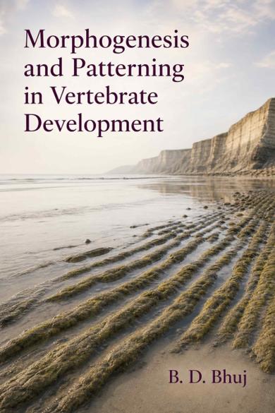 Cover of Morphogenesis and Patterning in Vertebrate Development