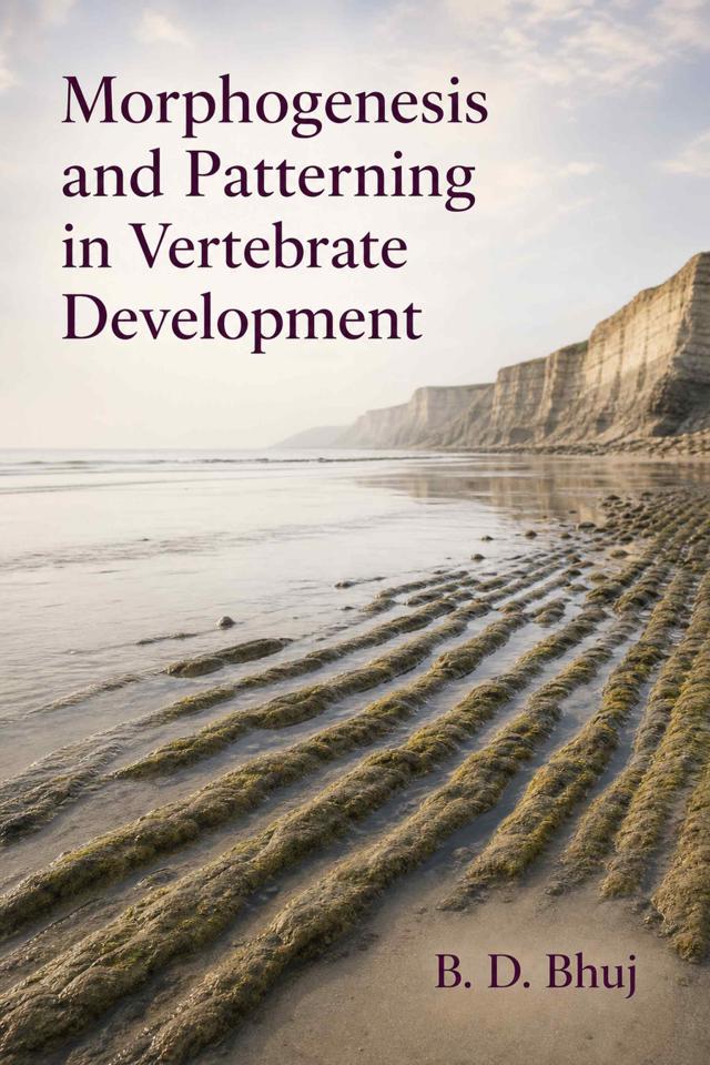 Front cover of Morphogenesis and Patterning in Vertebrate Development by B. D. Bhuj