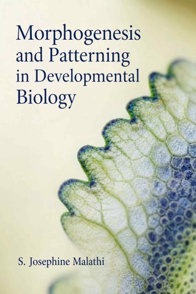 Cover of Morphogenesis and Patterning in Developmental Biology