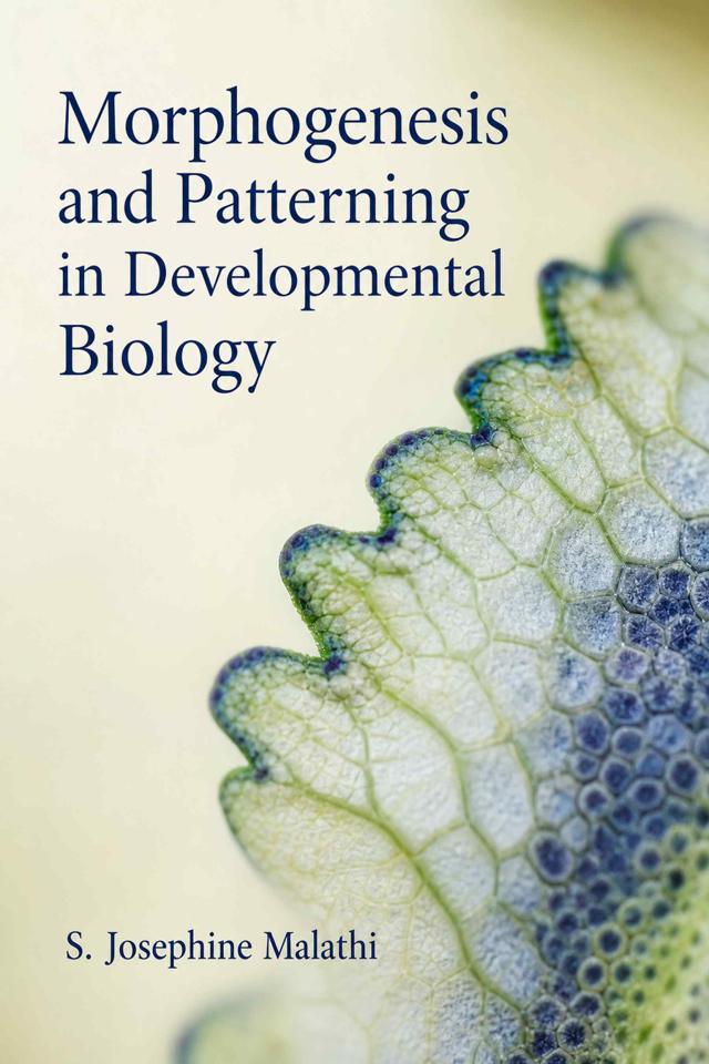 Front cover of Morphogenesis and Patterning in Developmental Biology by S. Josephine Malathi