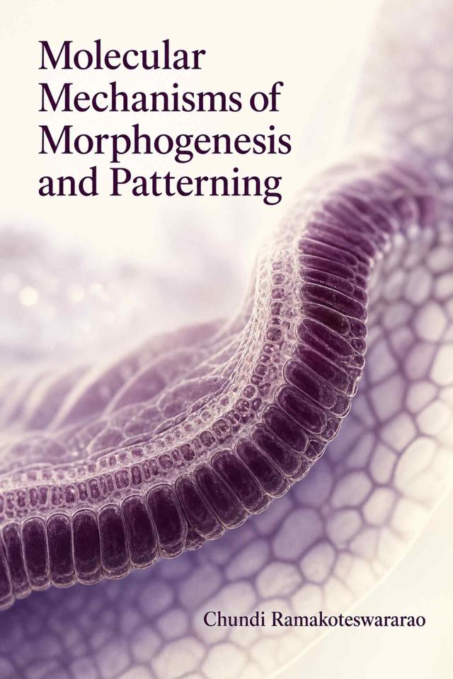 Front cover of Molecular Mechanisms of Morphogenesis and Patterning by Chundi Ramakoteswararao