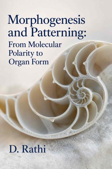 Cover of Morphogenesis and Patterning: From Molecular Polarity to Organ Form