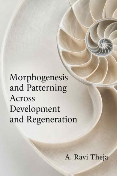 Cover of Morphogenesis and Patterning Across Development and Regeneration