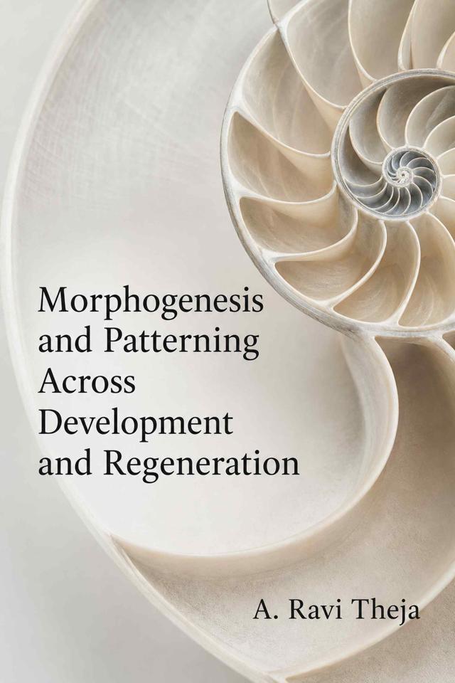 Front cover of Morphogenesis and Patterning Across Development and Regeneration by A. Ravi Theja