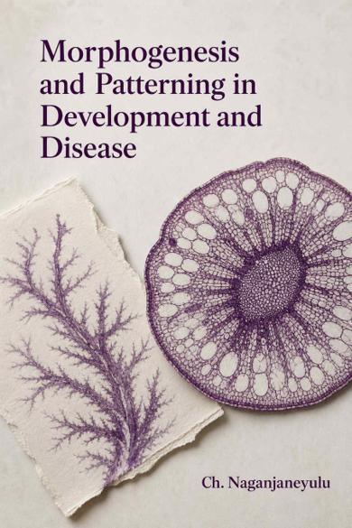 Cover of Morphogenesis and Patterning in Development and Disease