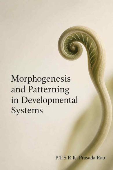 Cover of Morphogenesis and Patterning in Developmental Systems