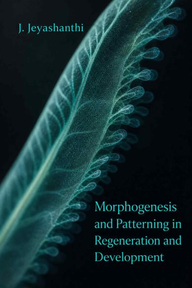 Cover of Morphogenesis and Patterning in Regeneration and Development