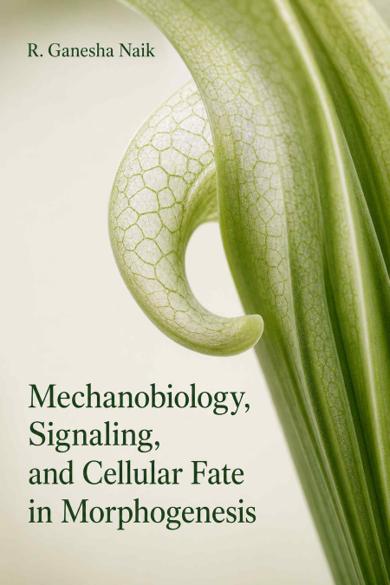 Cover of Mechanobiology, Signaling, and Cellular Fate in Morphogenesis