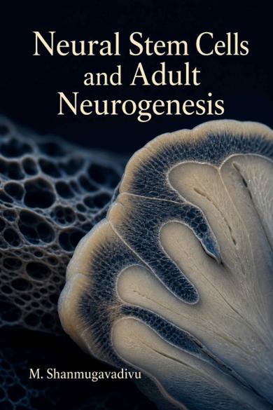 Cover of Neural Stem Cells and Adult Neurogenesis
