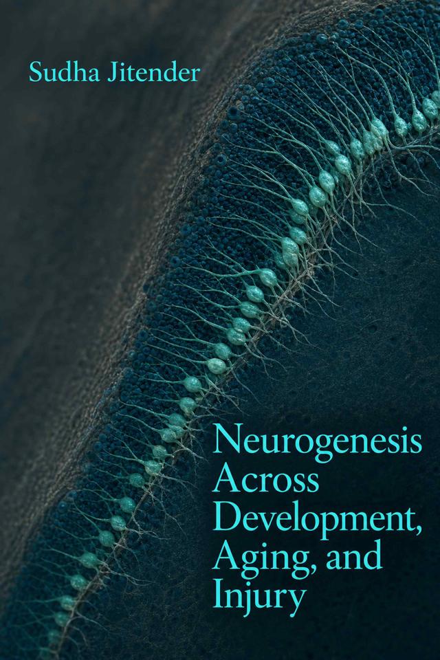 Front cover of Neurogenesis Across Development, Aging, and Injury by Sudha Jitender