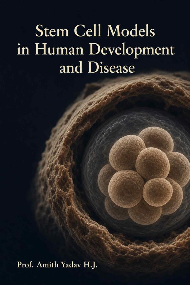 Front cover of Stem Cell Models in Human Development and Disease by Prof. Amith Yadav H.J.