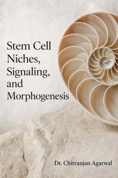 Cover of Stem Cell Niches, Signaling, and Morphogenesis
