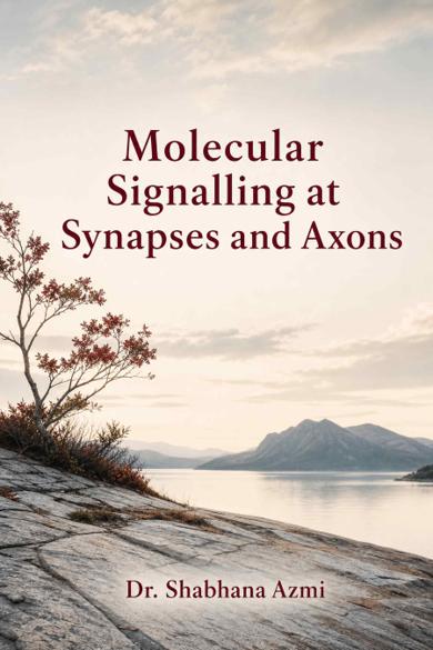 Cover of Molecular Signalling at Synapses and Axons: Receptors, Ubiquitination, Gap Junctions, Autoimmunity, and Injury Pathways in the Nervous System