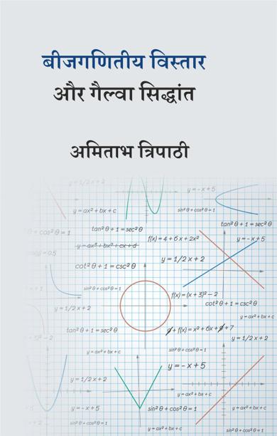 Cover of बीजगणितीय विस्तार और गैल्वा सिद्धांत
